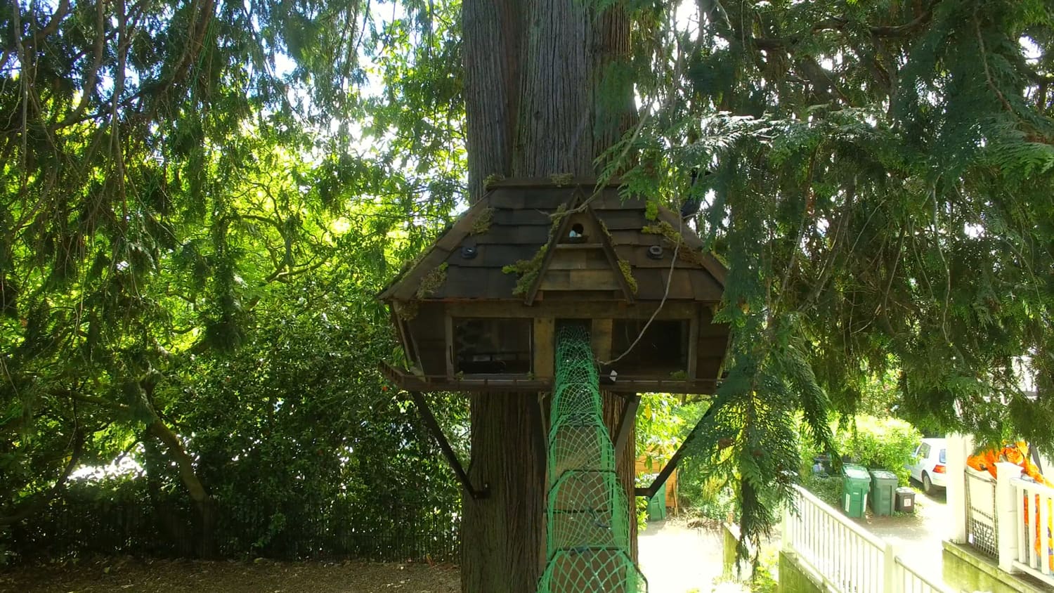 New Show ‘Animal Cribs’ Tackles Over The Top Renovations For Your Pets