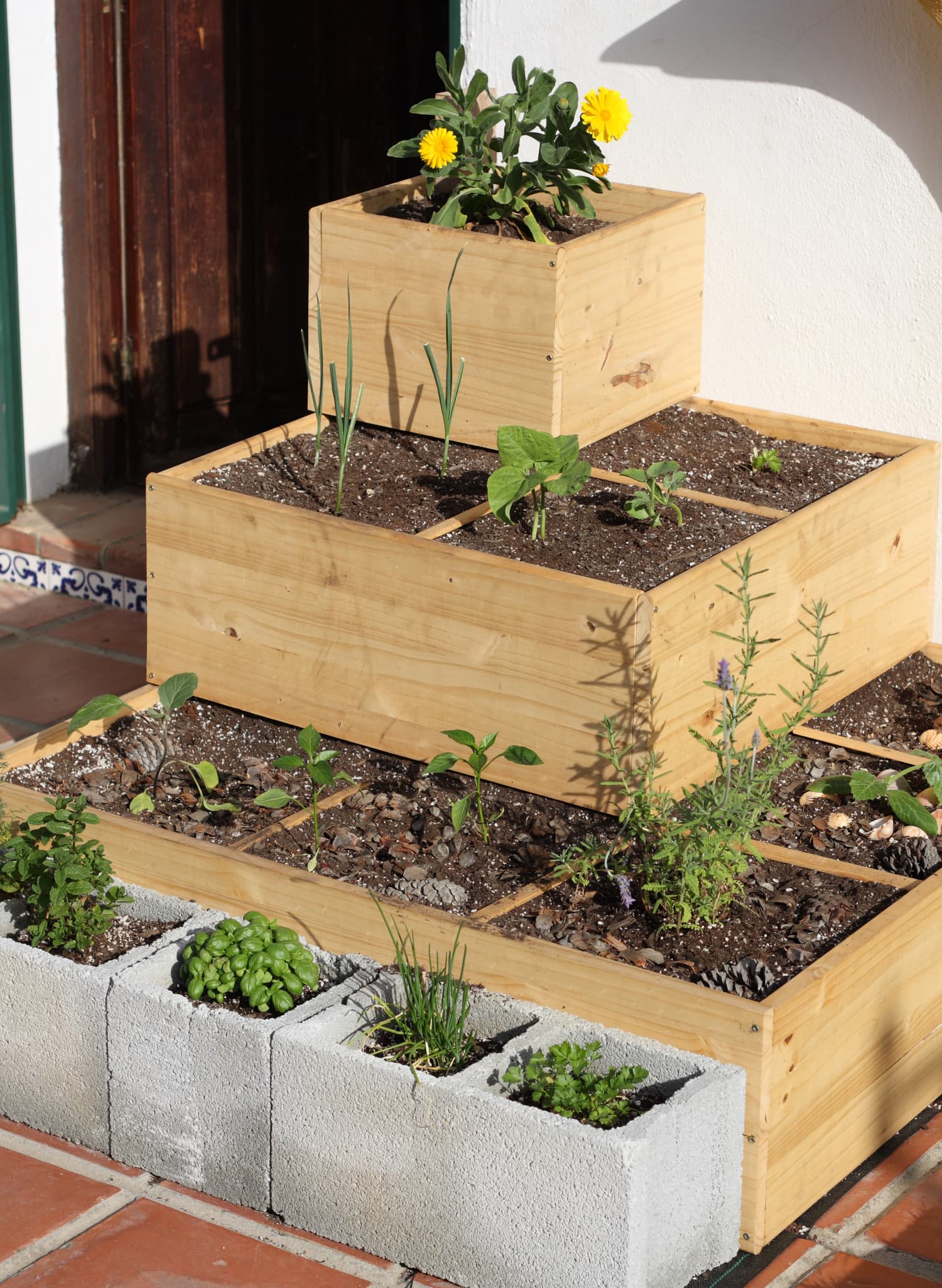 Square Foot Gardening Planning Spacing Benefits Apartment Therapy