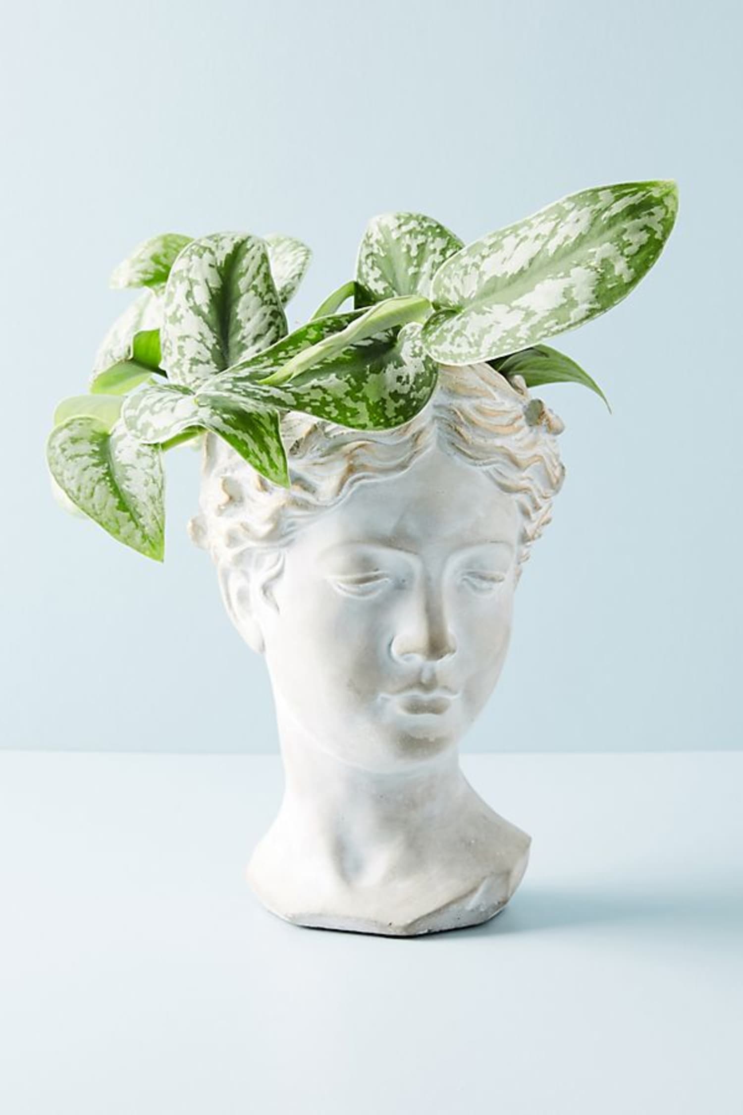 The Best Decorative Planters for Your House Plants | Apartment Therapy