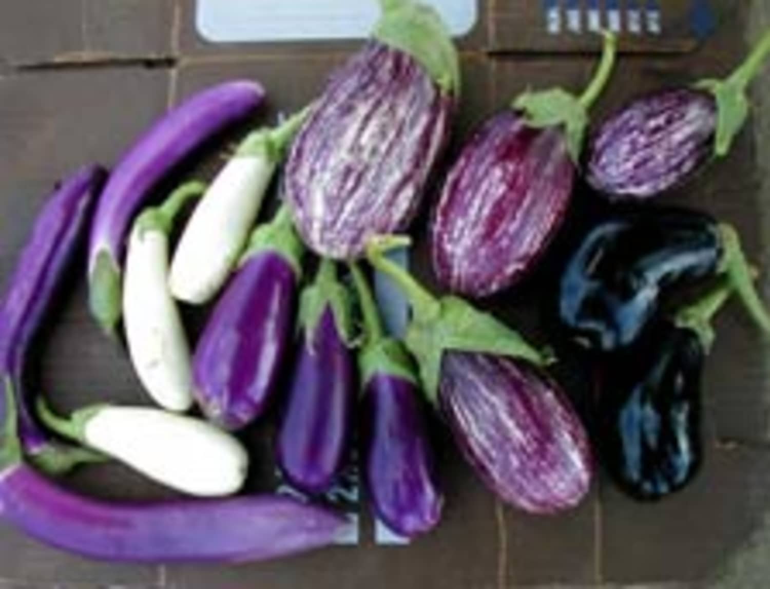 Good Question Why is My Roasted Eggplant Bitter? Kitchn