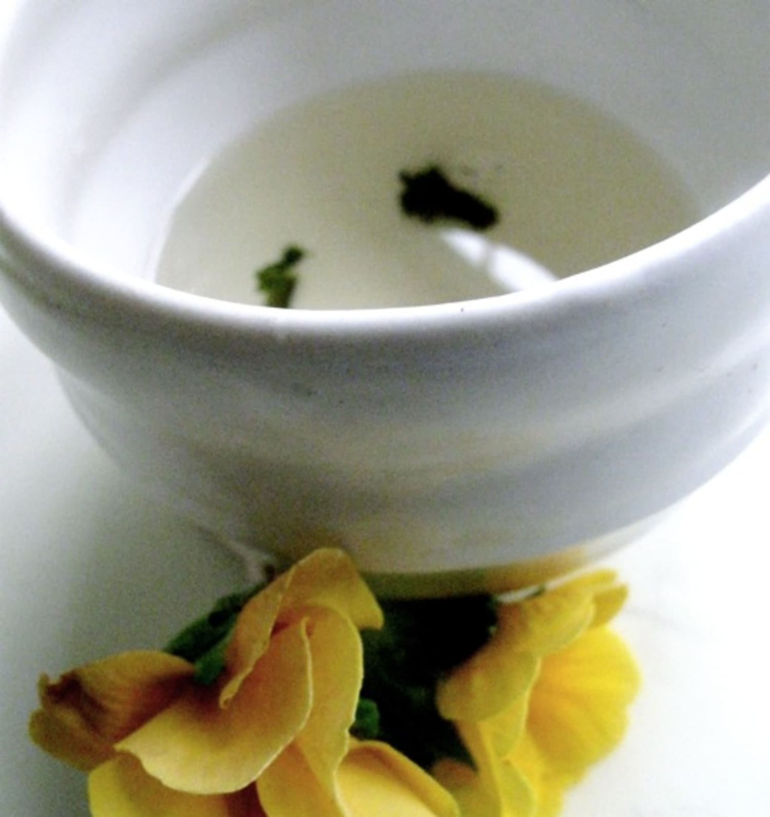 How to Brew Loose Leaf Green Tea Kitchn