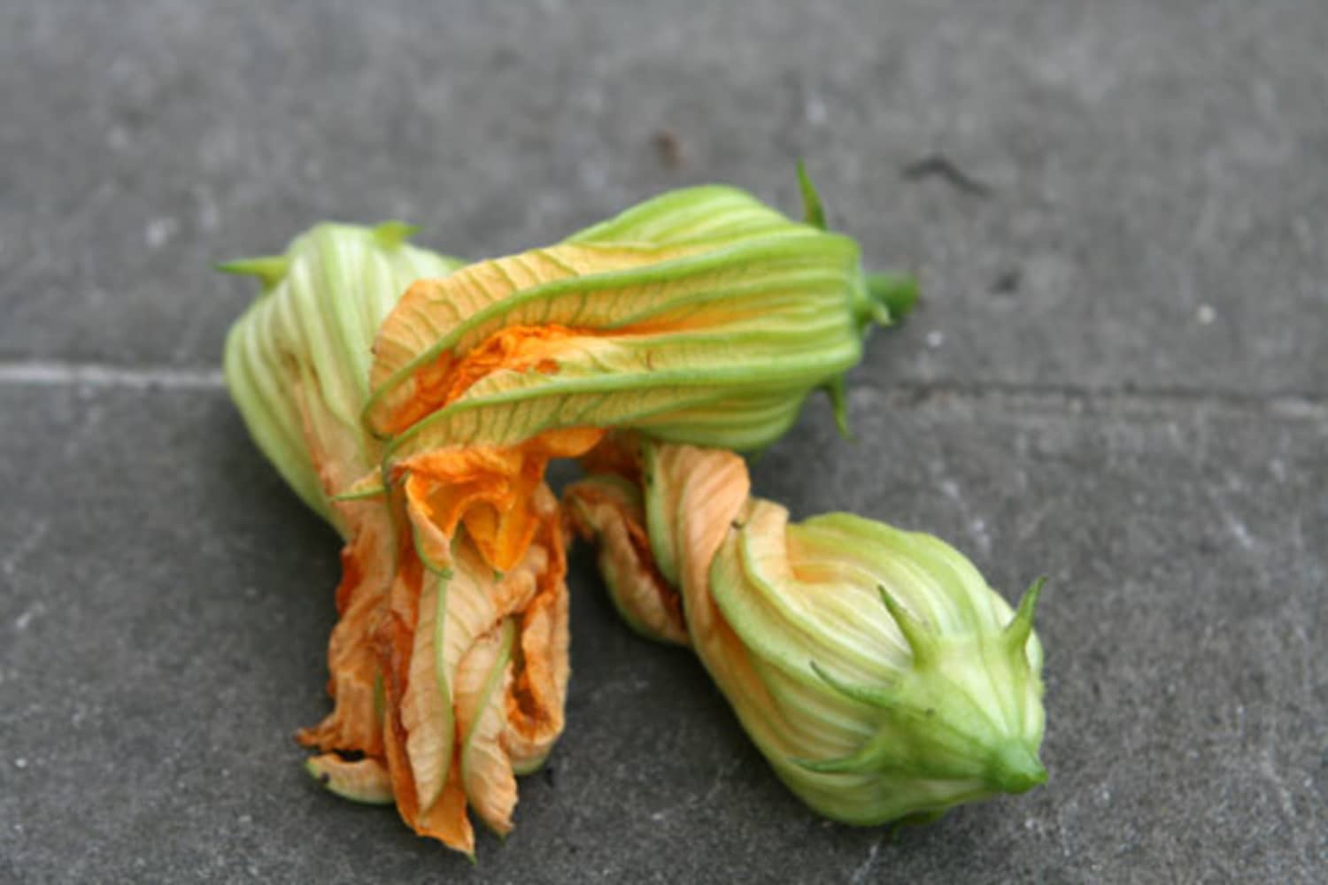 Ways to Cook Zucchini Blossoms — Other Than Frying? Kitchn
