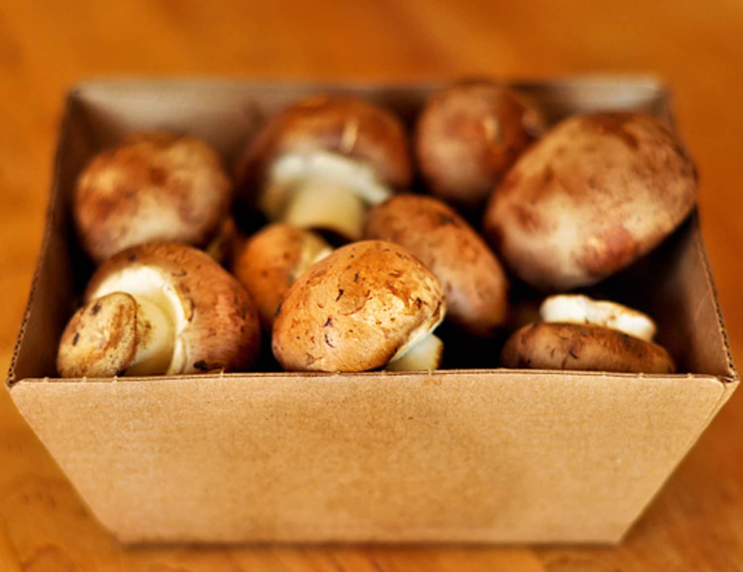 2 Ways to Store Mushrooms Kitchn