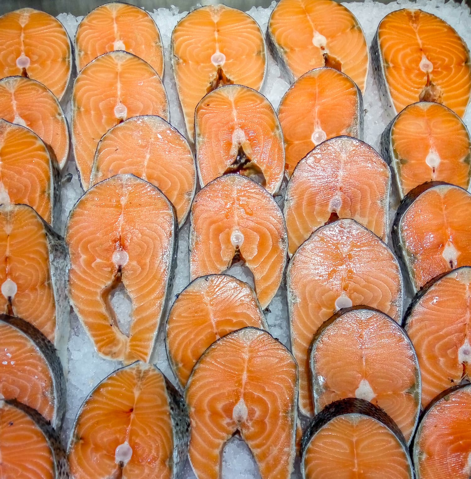 Researchers Find Japanese Tapeworm in Alaskan Salmon Kitchn