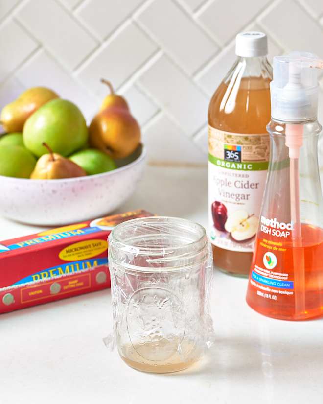 Fruit Fly Trap DIY for Catching These Sneaky Bugs