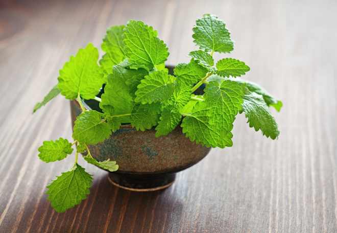 6 Household Uses for Mint