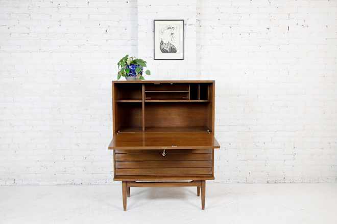 Bazaar Daily Finds
