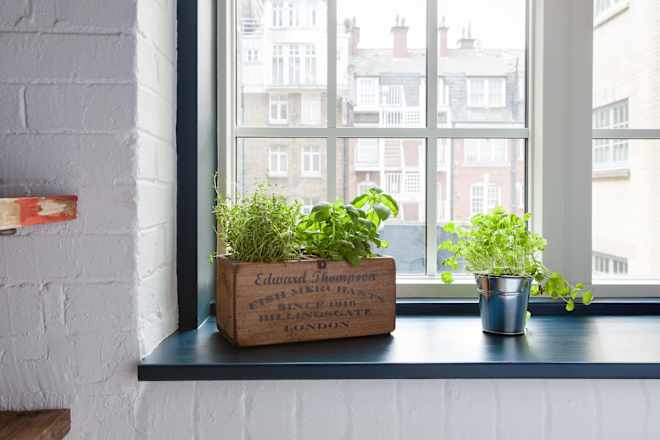 This Weekend Project Will Plant the Seed for a Flavorful (and Money Saving) Year Ahead