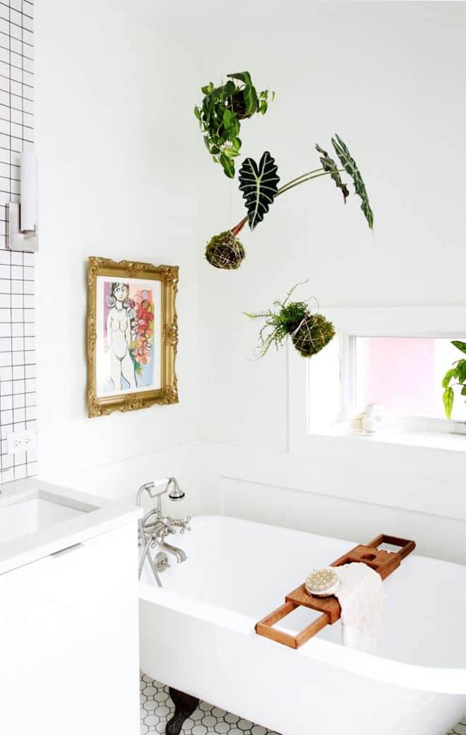 How to Create a Kokedama to Hang in Your Bathroom