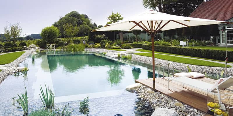 Natural Green Swimming Pools Info Tips Ideas Apartment Therapy