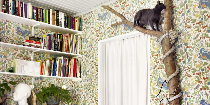 5 Diy Project The Most Extreme Cat Lovers Should Try Apartment Therapy