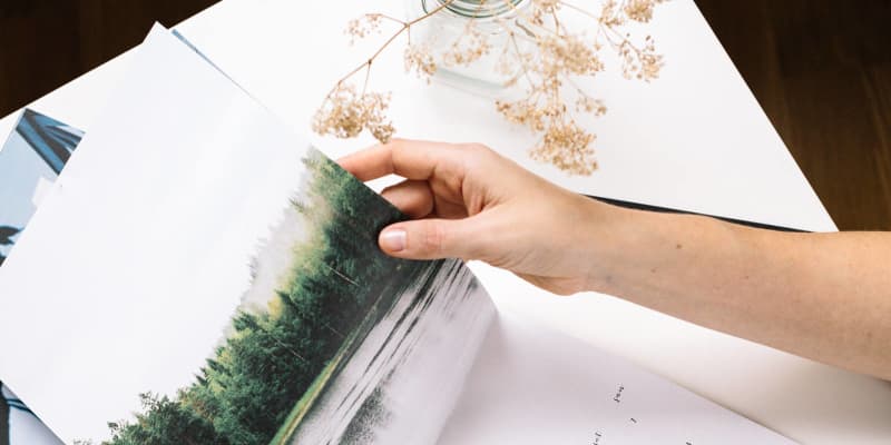 Best Wall Calendars For 2018 Apartment Therapy