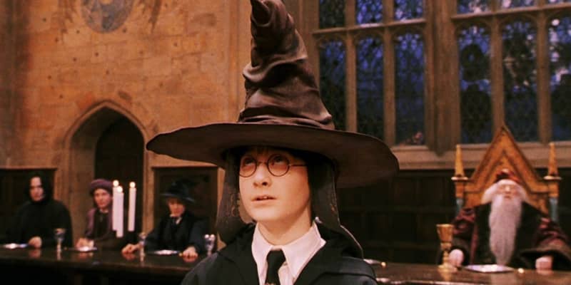 Harry Potter Costume Sorting Hat