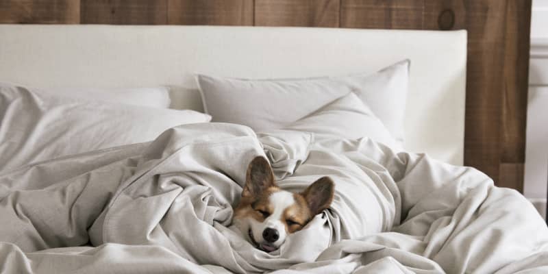 We Reviewed Brooklinen S New Cashmere Sheets Apartment Therapy