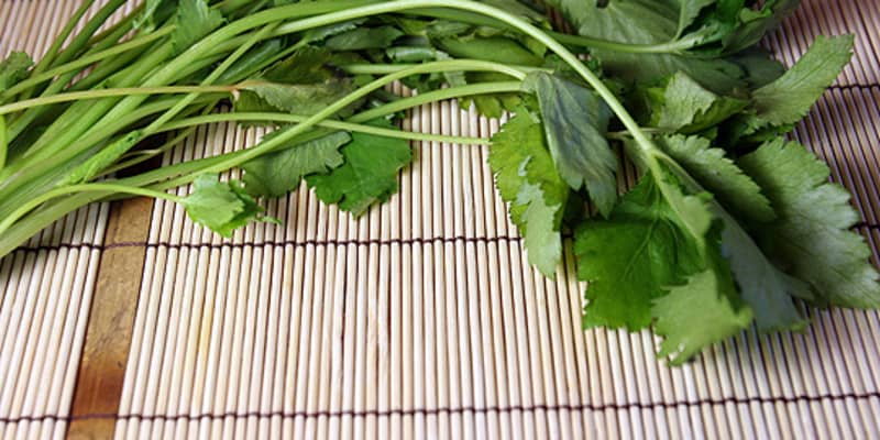 Ingredient Spotlight Mitsuba Honeywort Kitchn