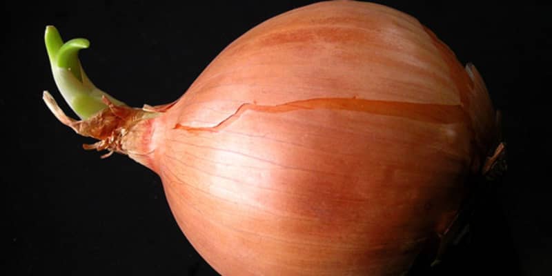 Raw To Sweet How To Change The Intensity Of Onions Kitchn