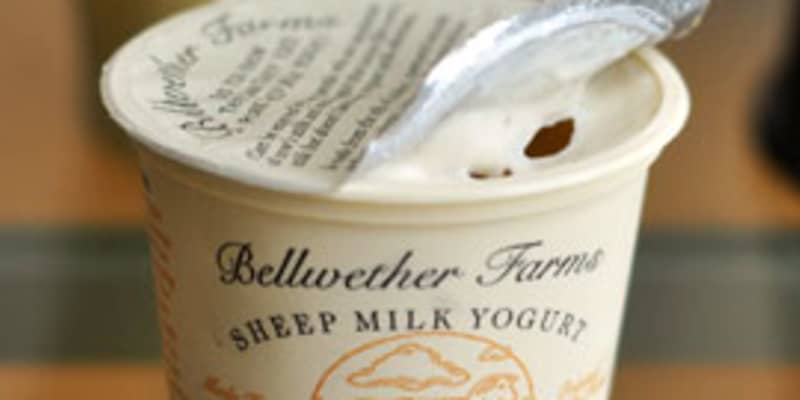 Vanilla Sheep Milk Yogurt From Bellwether Farms Kitchn