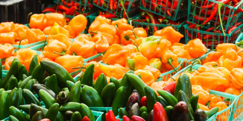 A Guide To Common Hot Peppers Kitchn