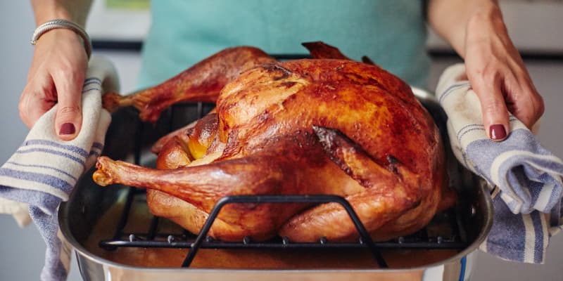 Is turkeys hard for cats to digest?