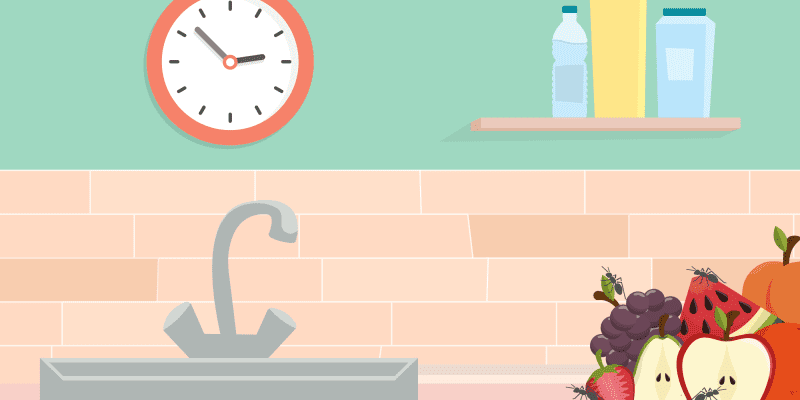 5 Things To Know About Ants In The Kitchen Kitchn
