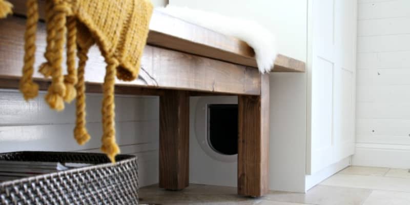 Clever ways to hide a litter box cheap