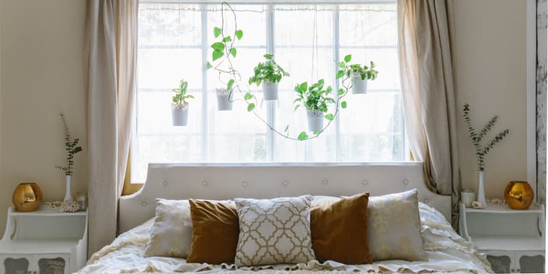 Bed under bay window online