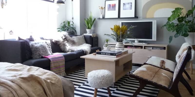 Studio couch bed cheap