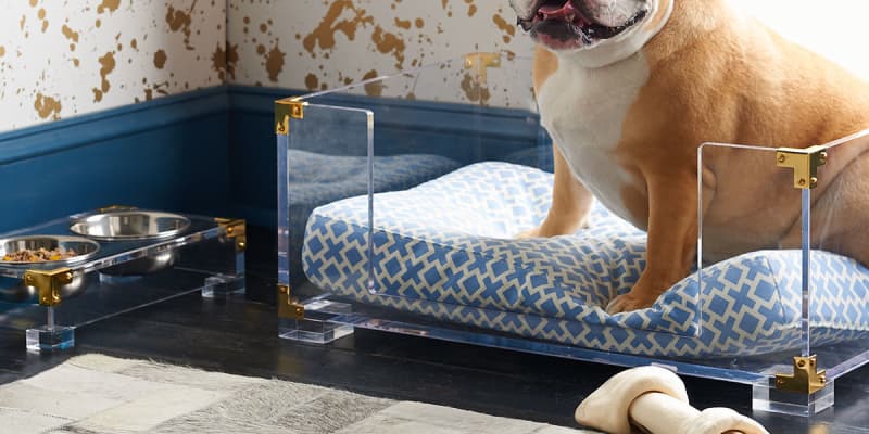 Clear acrylic dog bed hot sale