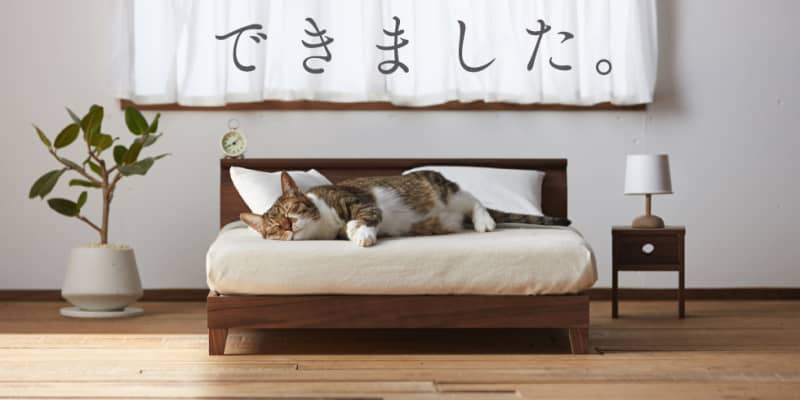 You Have to See This Minimalist Cat Furniture Right Meow