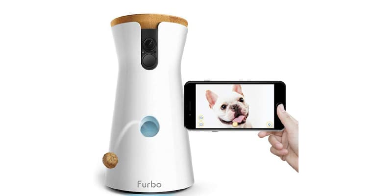Furbo petco cheap