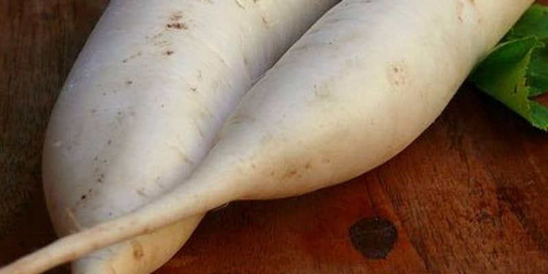 e5d07daacad5a97ed347bf7221e503