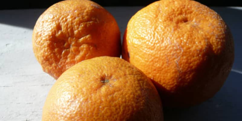 Sour sales orange juice