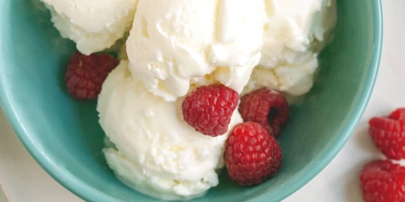 Homemade yogurt ice cream sales