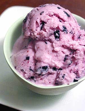Recipe - Blueberry Frozen Yogurt