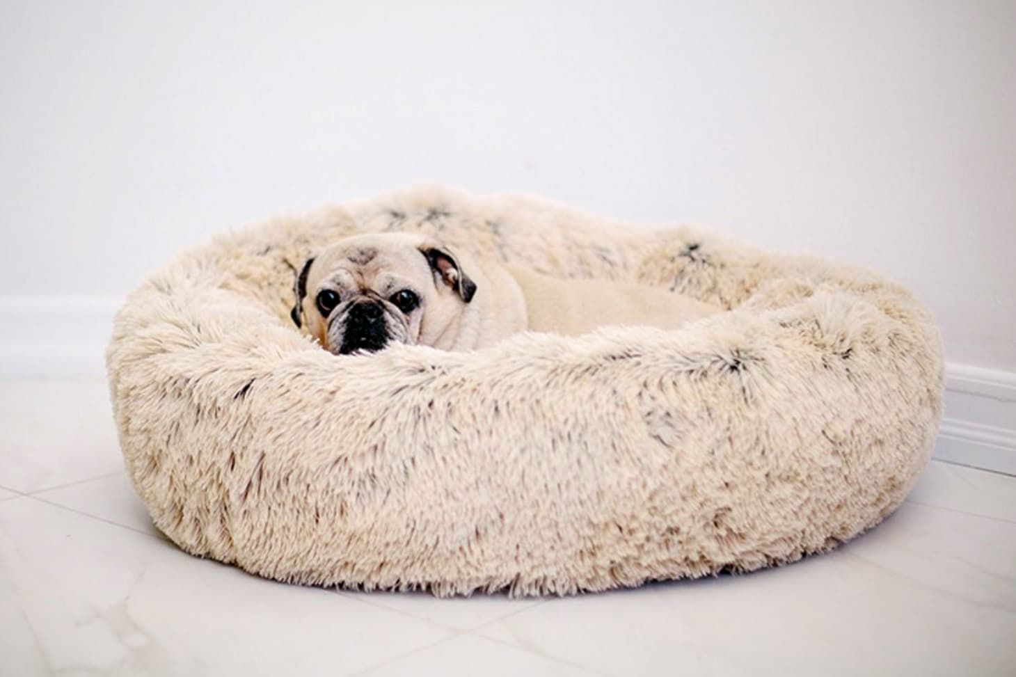 The Best Stylish Dog Beds Of 2019 Apartment Therapy