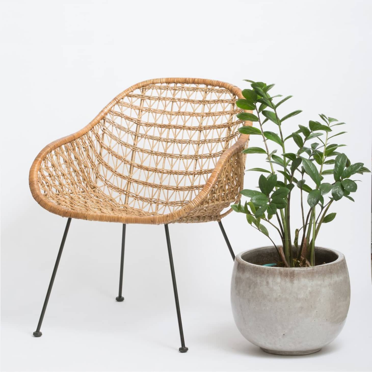 12 Really Good Looking Wicker Rattan Chairs Apartment Therapy