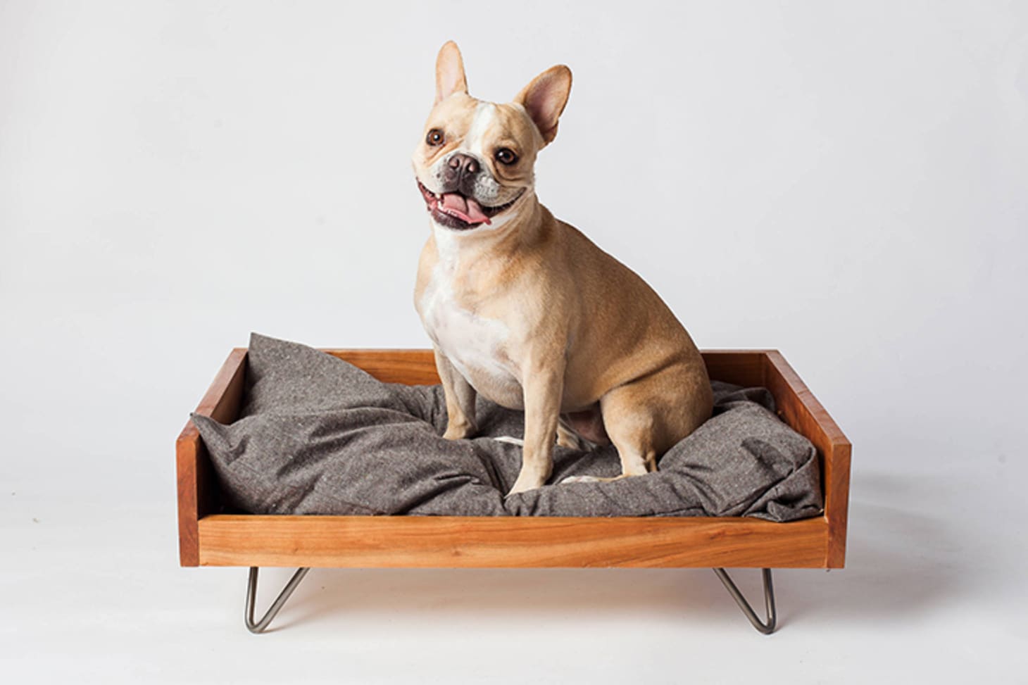 The Best Stylish Dog Beds Of 2019 Apartment Therapy