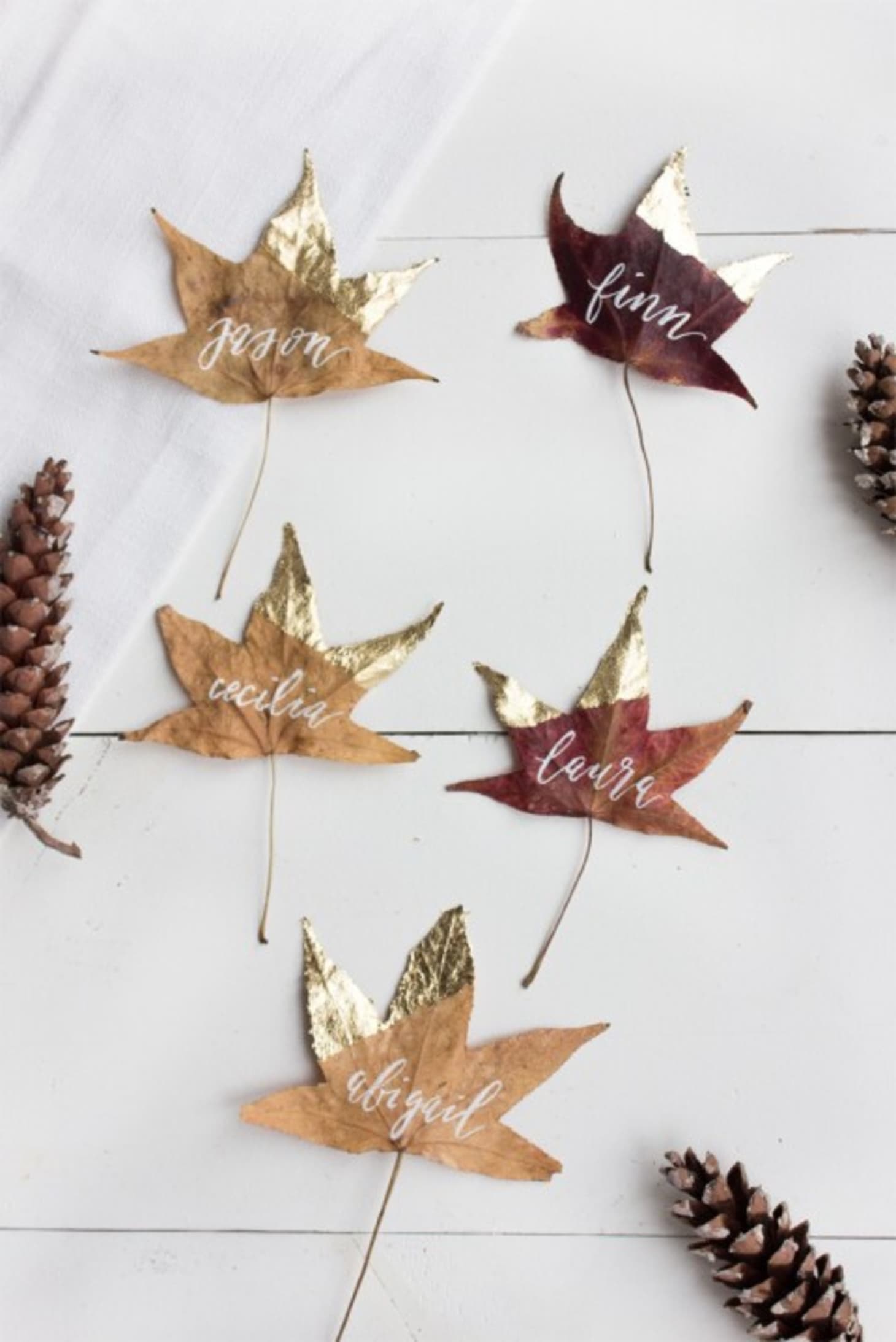 Easy Almost Free Thanksgiving Decorating Ideas Apartment