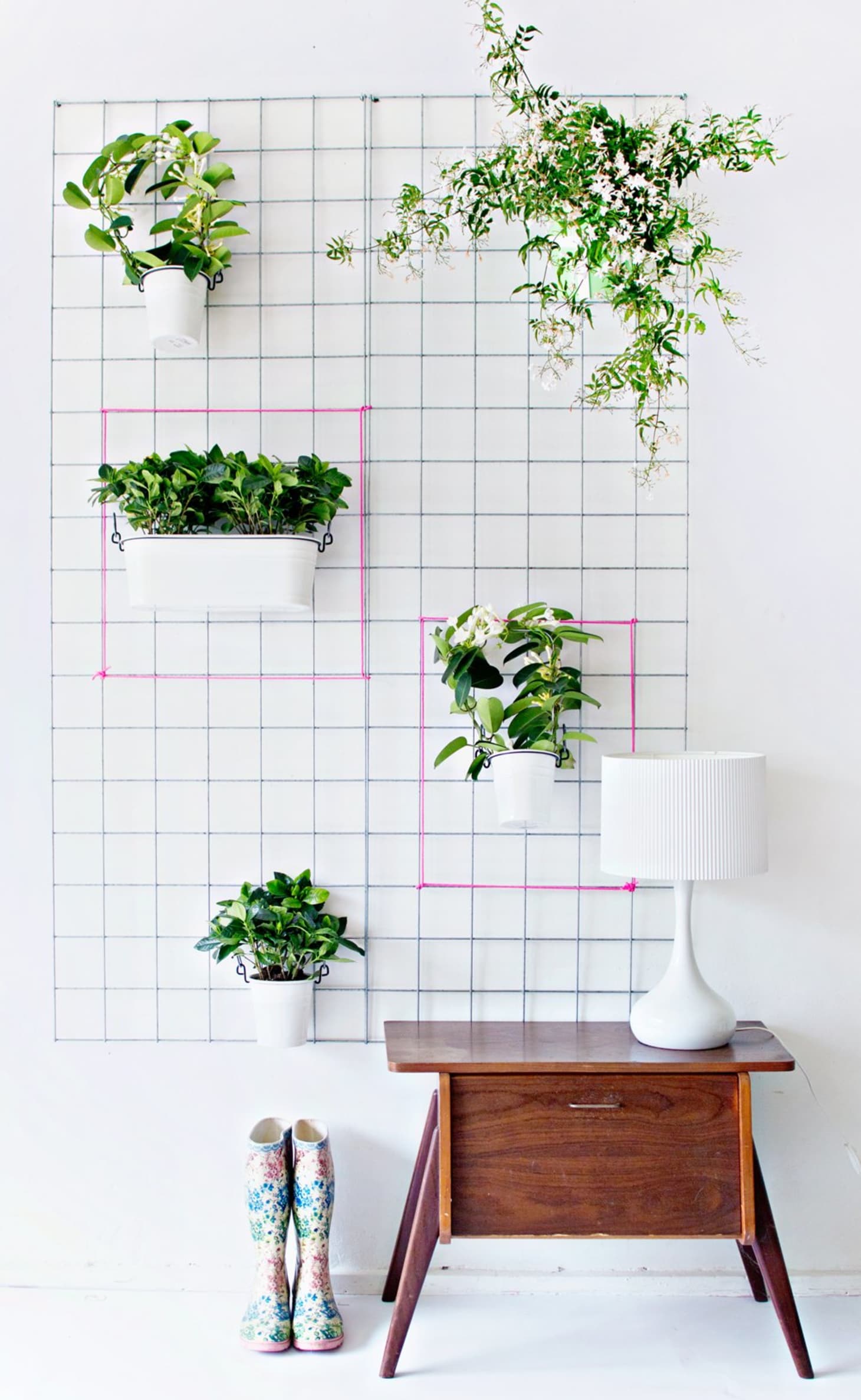Indoors Or Out Tips For Creating A Vertical Garden