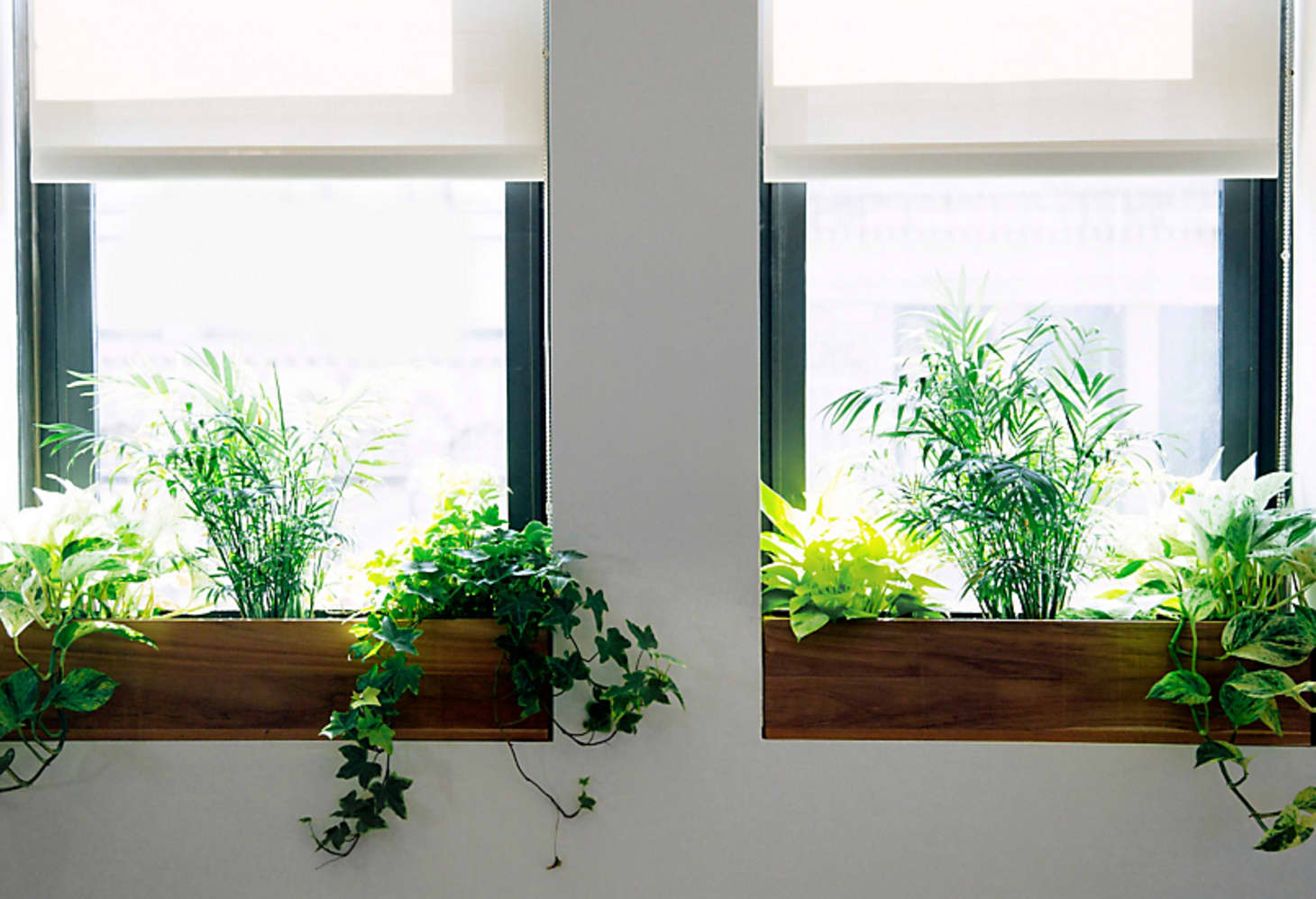 Window Sill Ideas Apartment Therapy