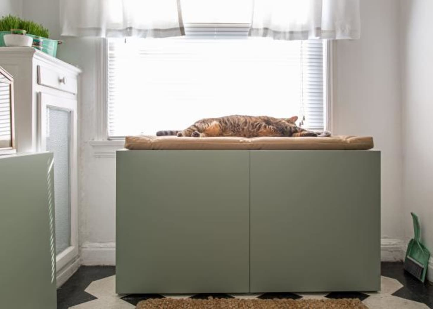 8 Creative Ways To Hide Litter Boxes Apartment Therapy