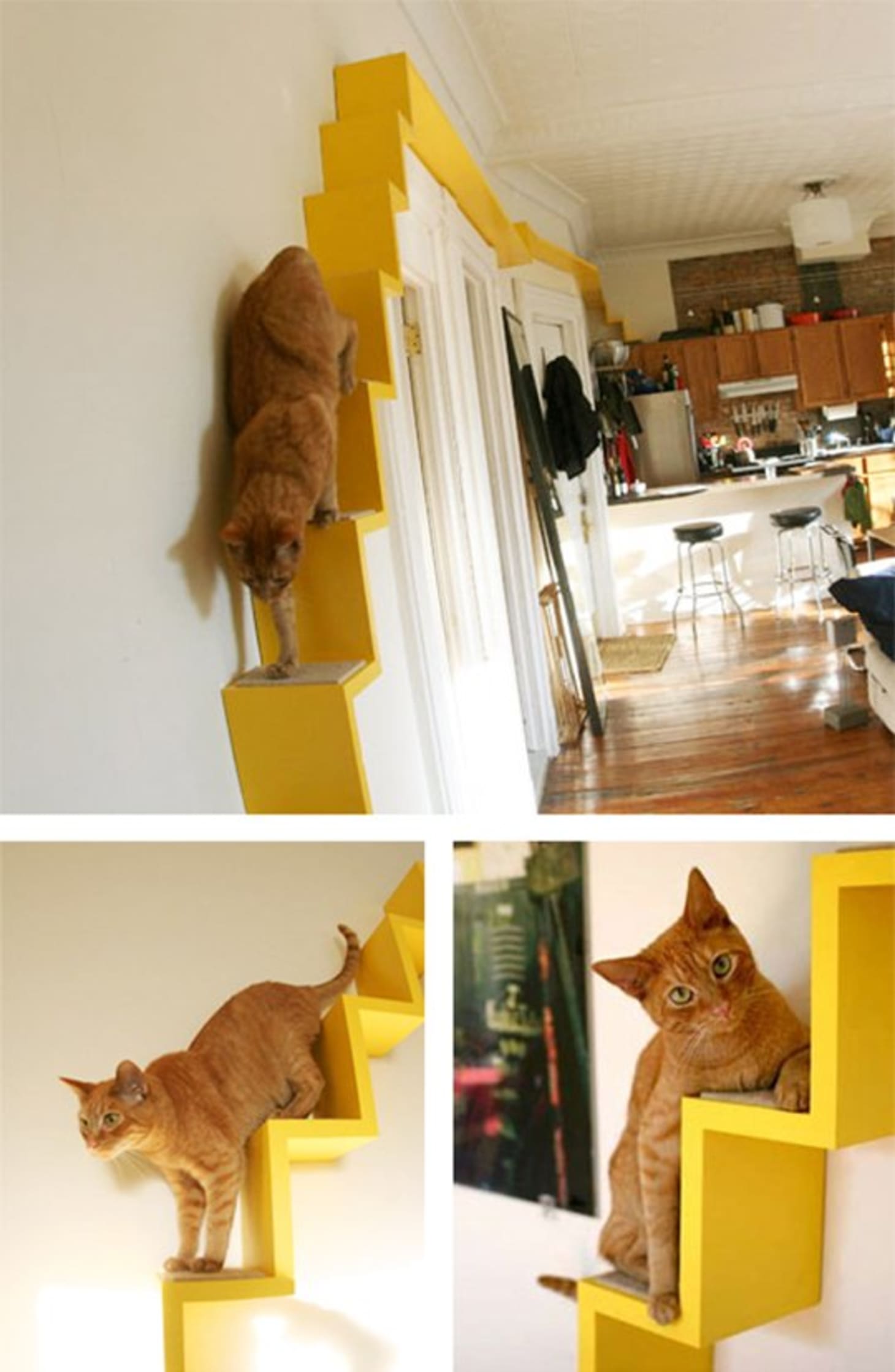 5-diy-project-the-most-extreme-cat-lovers-should-try-apartment-therapy