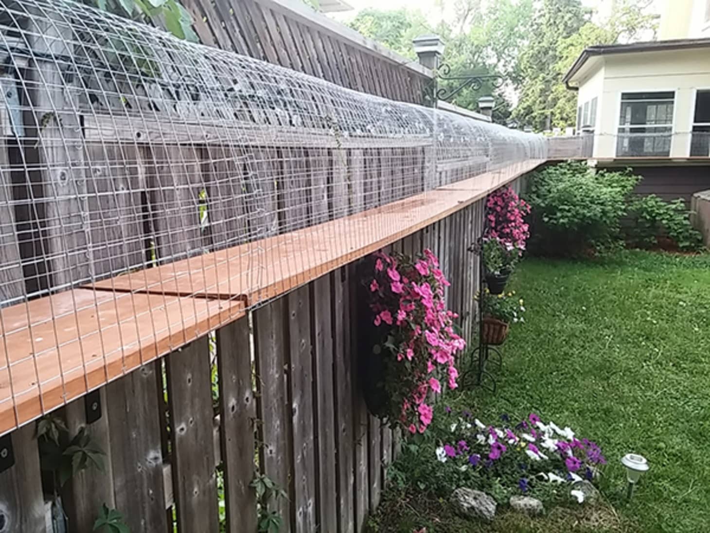 A Catio Is The Coolest Thing You Never Knew Your Cat Needed