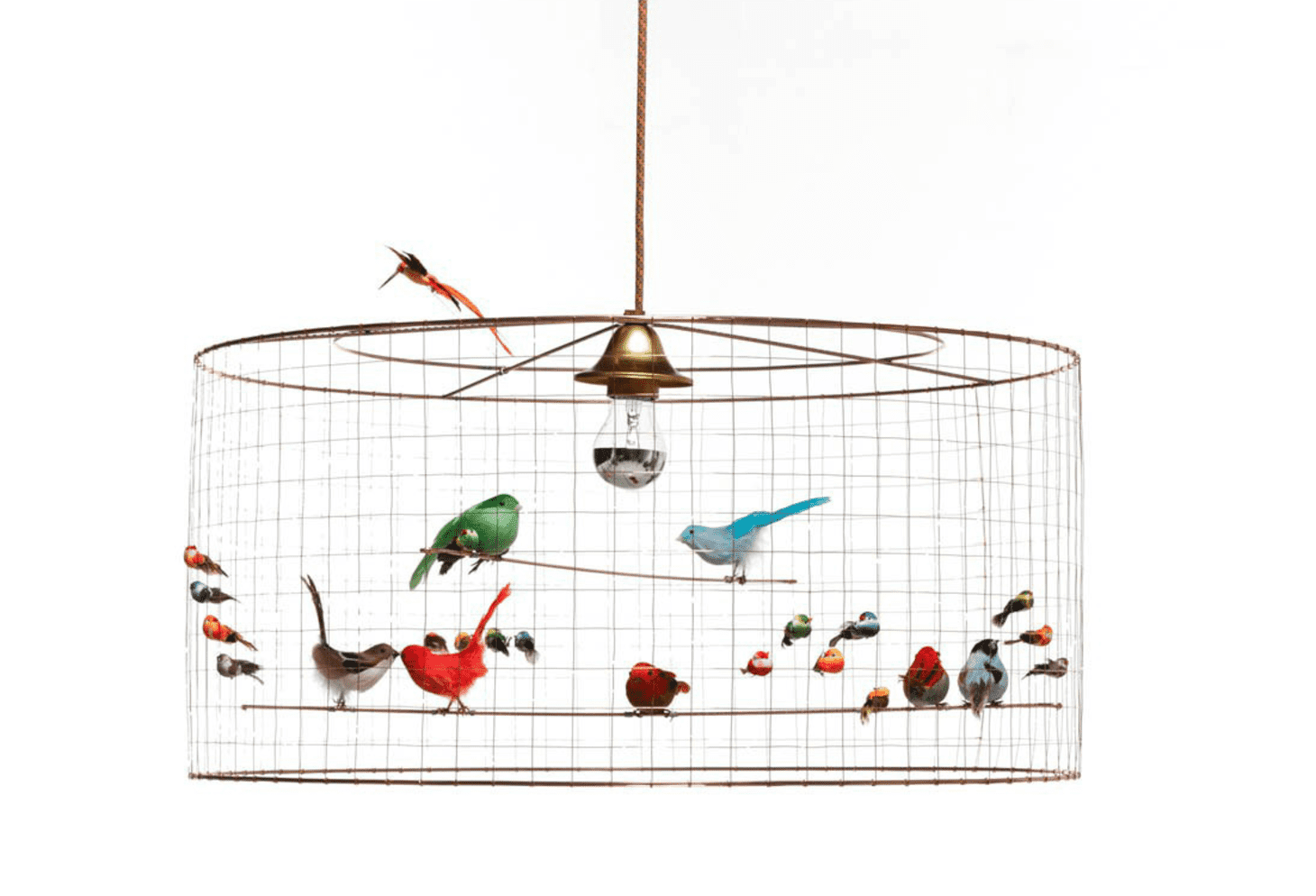 Mathieu Challières Applique Aviary Lamp Apartment Therapy