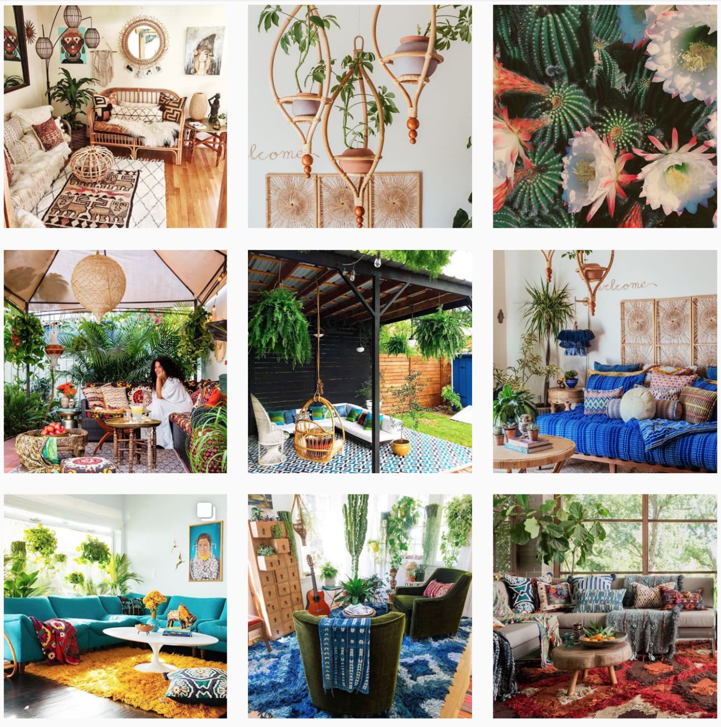 Best Plant Accounts To Follow On Instagram Apartment Therapy