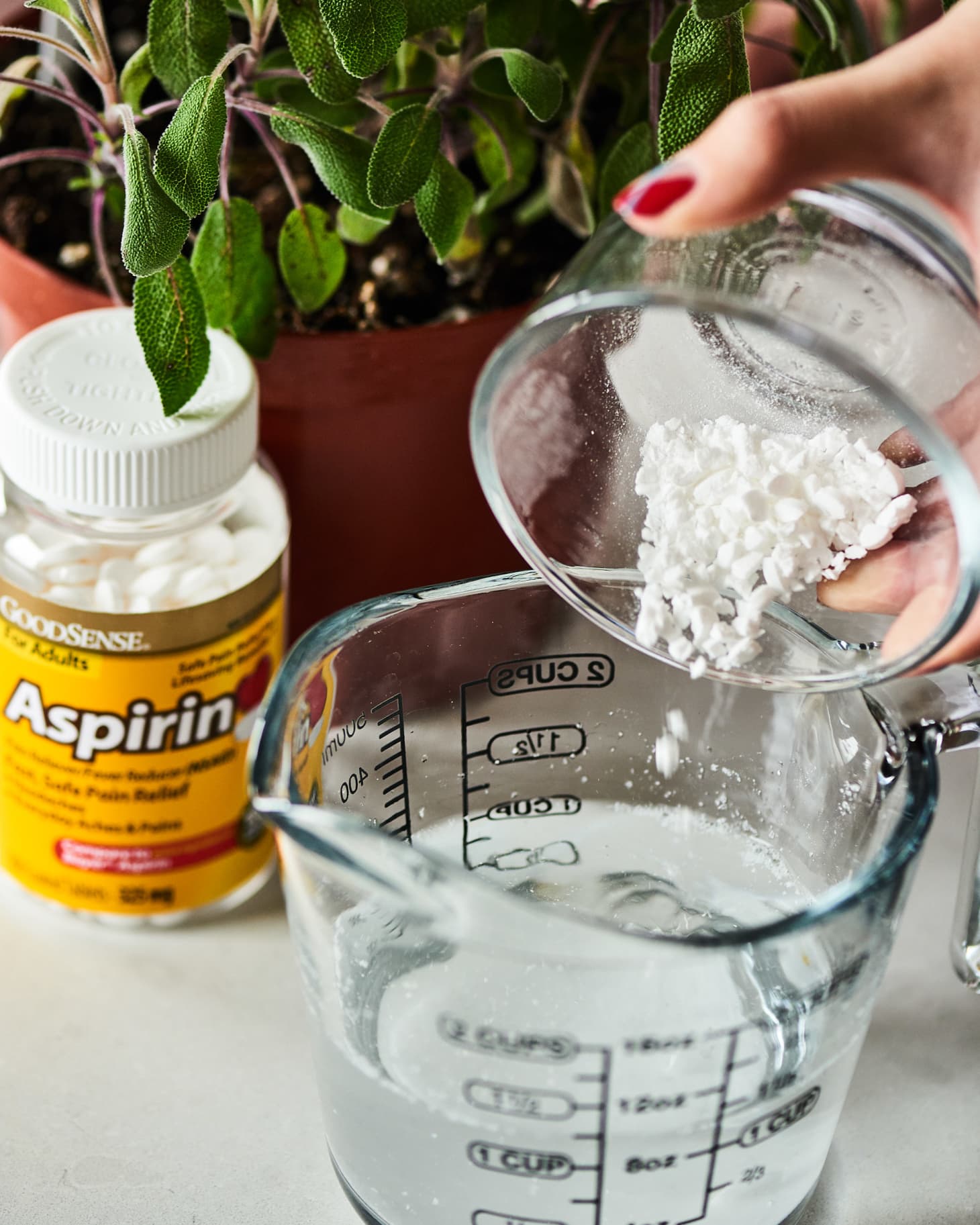 Don'T Use Aspirin For Rats! Here'S Why - vc2t4vd
