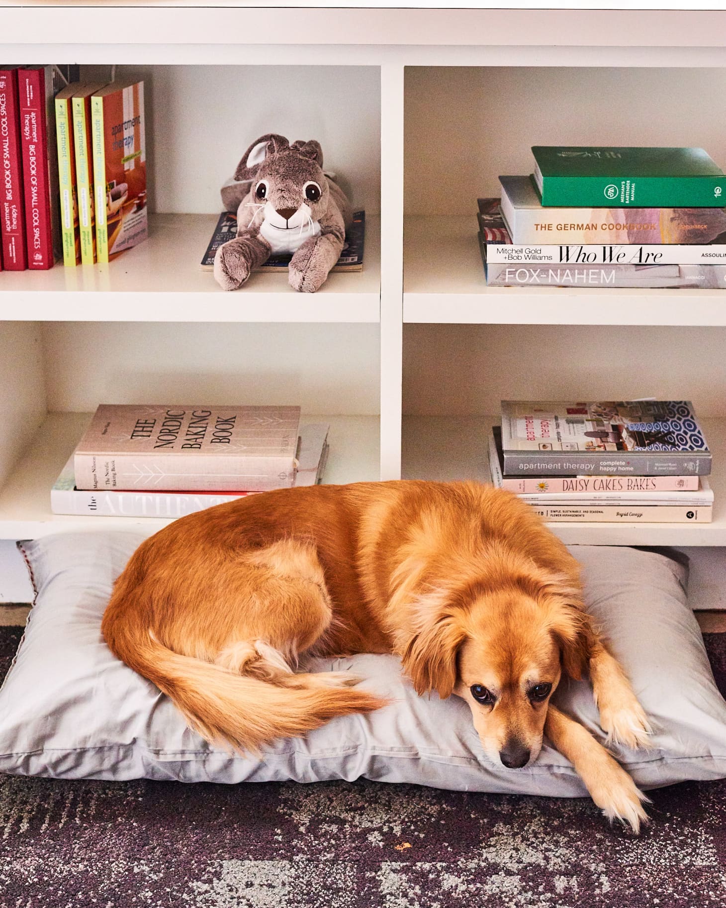 Repurpose Bed Pillows With These Smart Diy Reuse Ideas Apartment