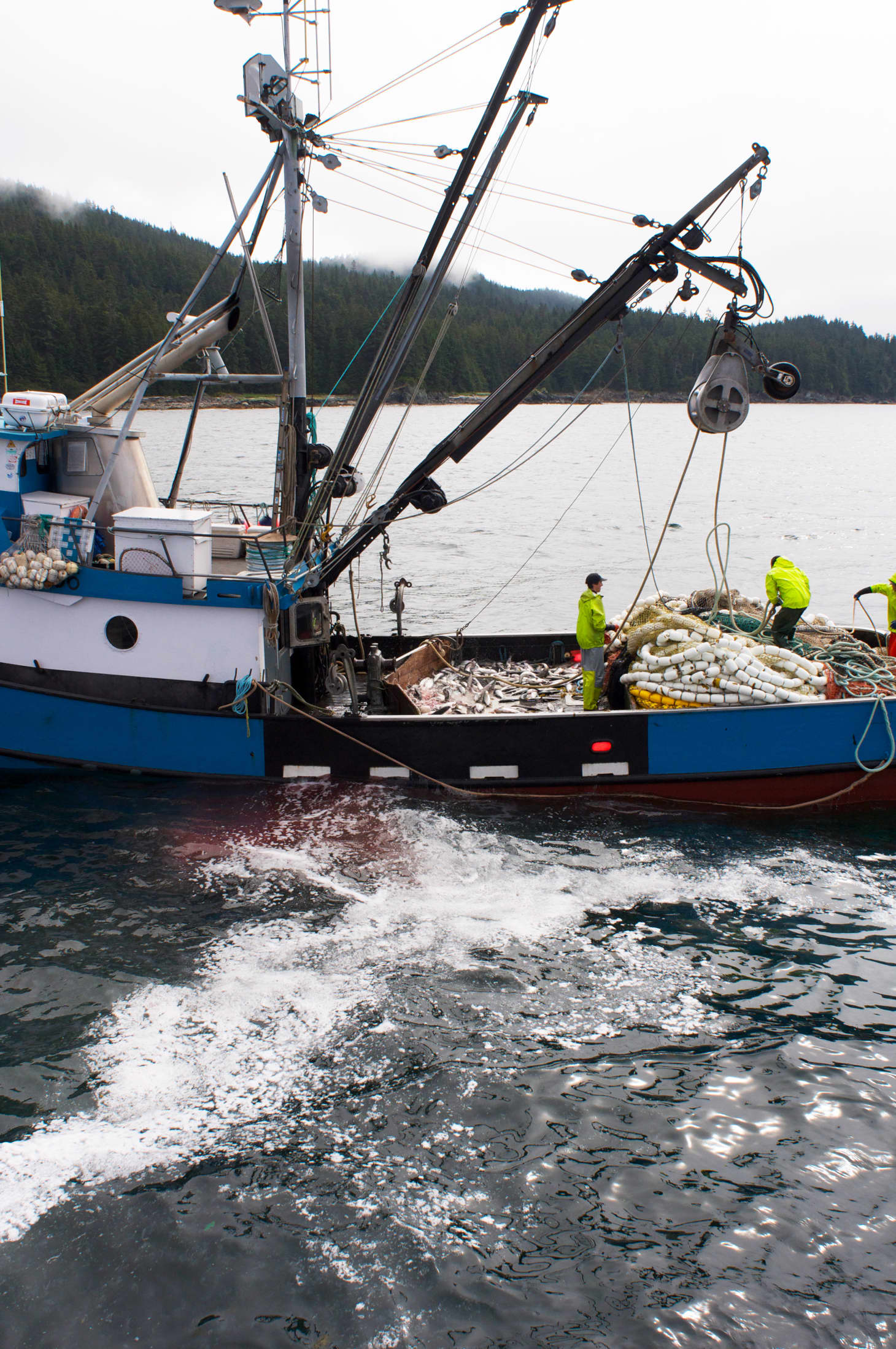 One Way to Catch Salmon In Alaska Onboard the Purse Seine Owyhee Kitchn