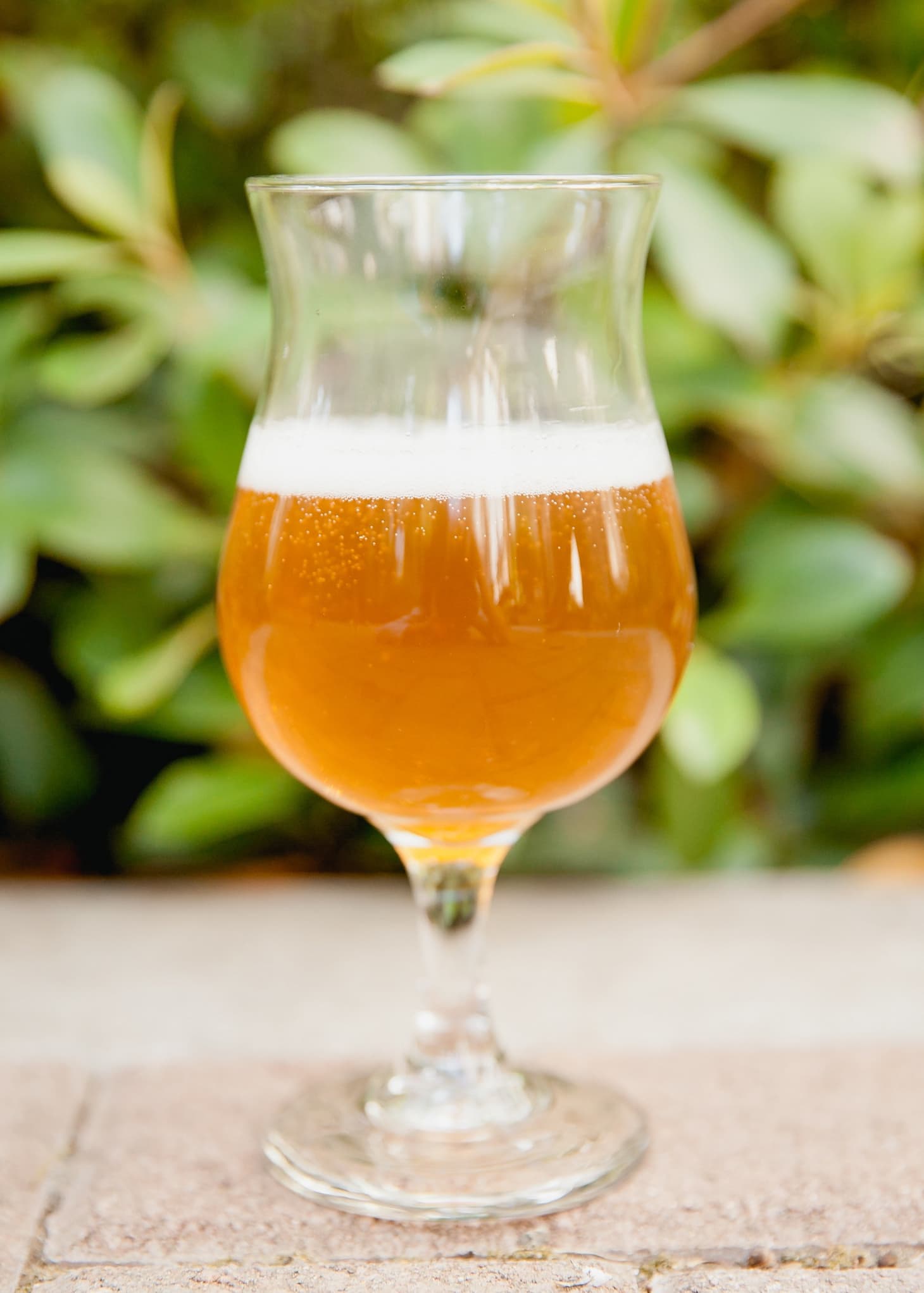 How Homebrewed Beer Goes from Flat to Fizzy Kitchn