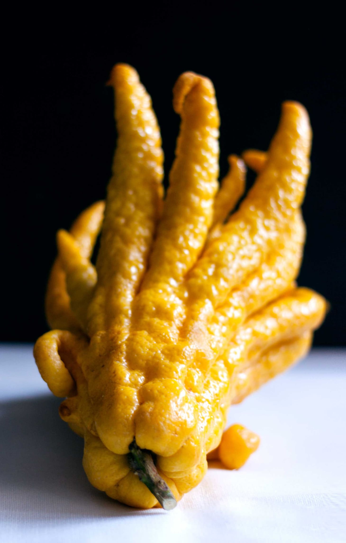 5 Citrus Fruits to Try This Winter Kitchn